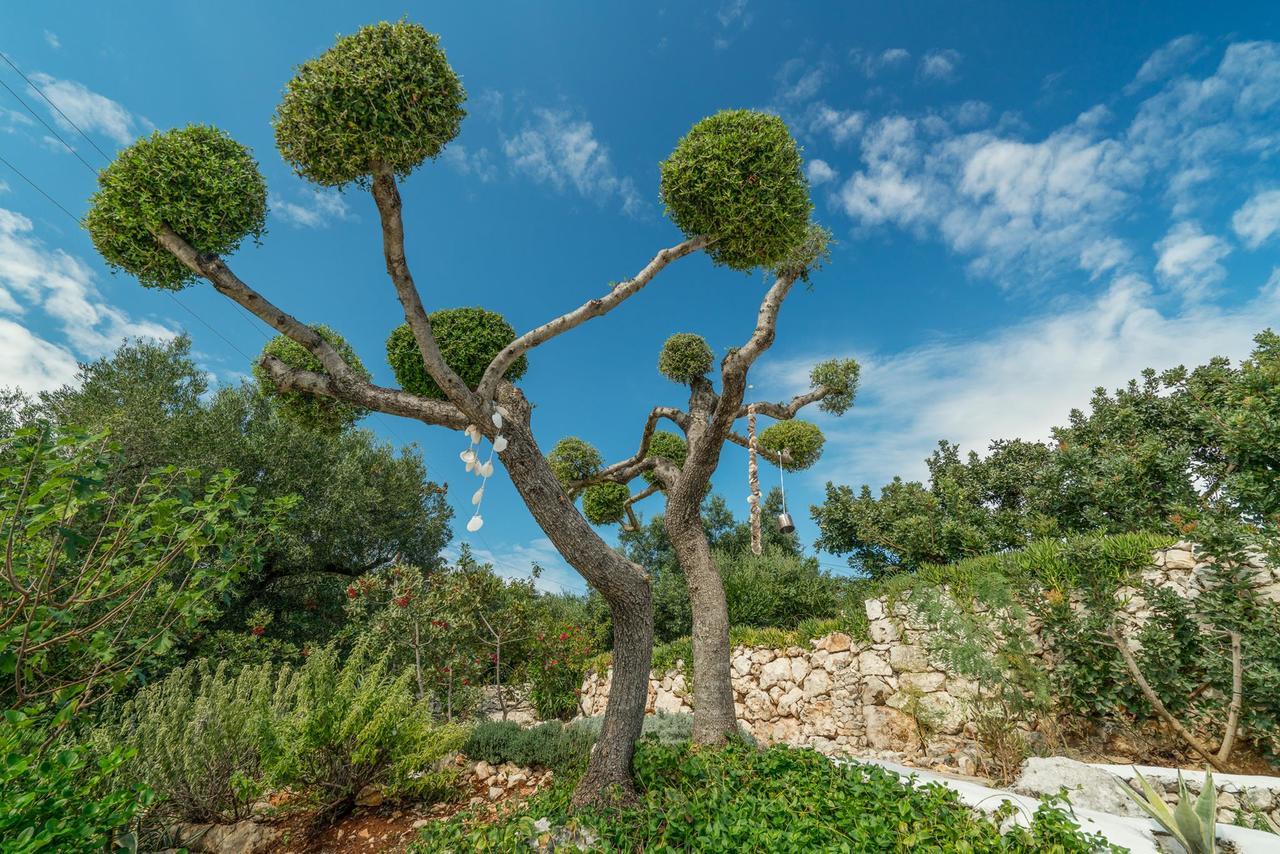 Askos Stone Villa - The Island Panorama Agios Nikolaos  Exterior photo